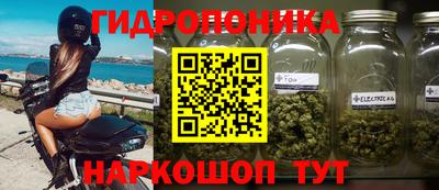 прущие грибы Гусев