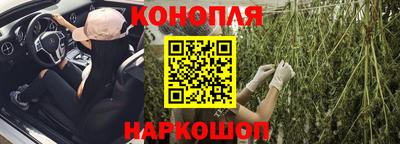 прущие грибы Гусев
