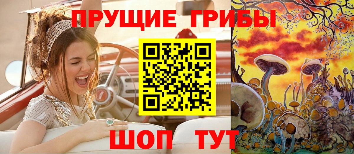 Псилоцибиновые грибы мицелий Балаково