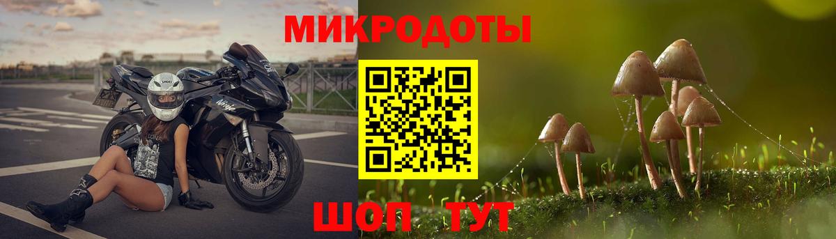 Галлюциногенные грибы мицелий  Псилоцибиновые грибы GOLDEN TEACHER  Вход с VPN  Балаково 
